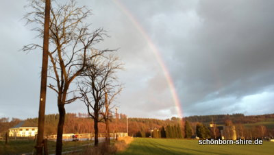 Regenbogen über den Schönborner Reitplatz